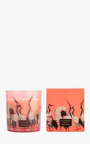 VELA JUNGLETROPIA 650GR MARIPOSA