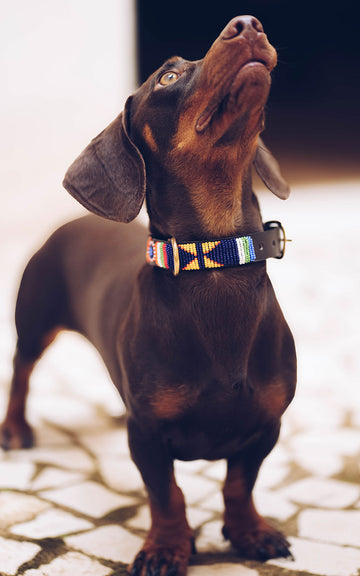 COLLAR MOMBASSA GUAITAN