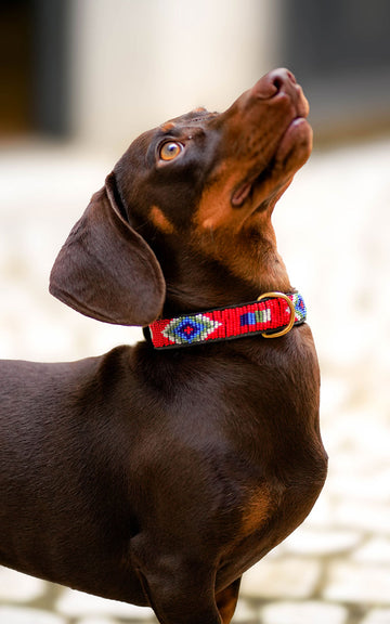 COLLAR MOMBASSA VAIMACA