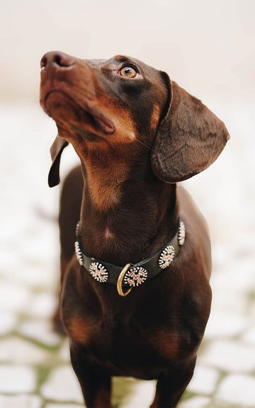 COLLAR MOMBASSA ADELTU