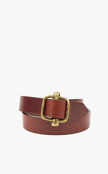 Angus Chocolate Belt