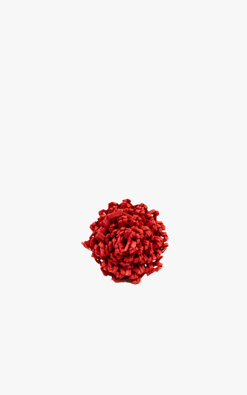 Red Medallion Earring