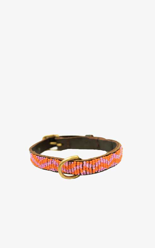 Mombassa Coral Zigzag Dog Collar