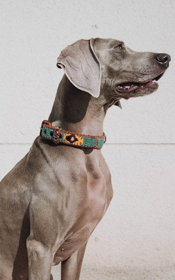 Collar de perro étnico