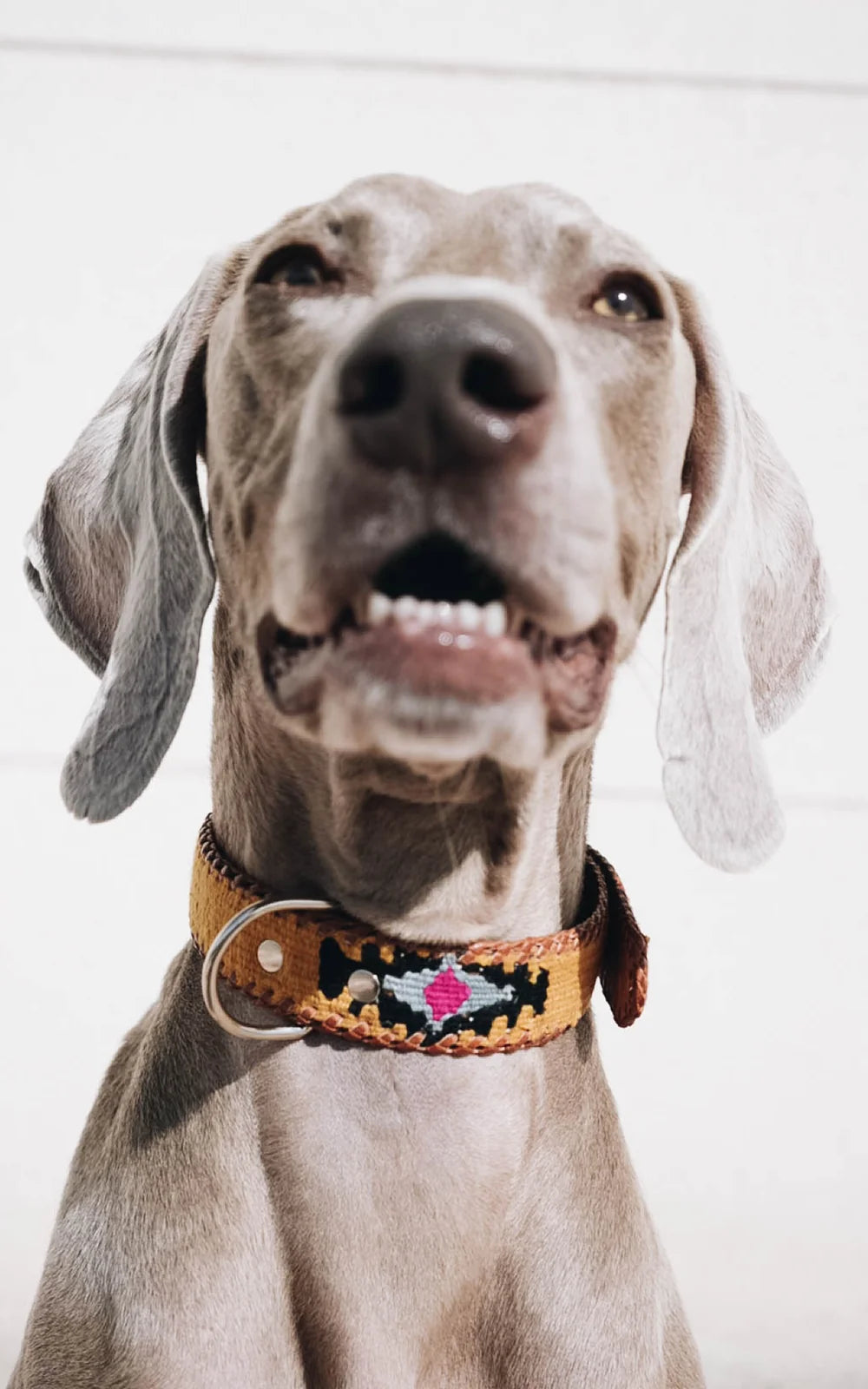 COLLAR ÉTNICO MOSTAZA
