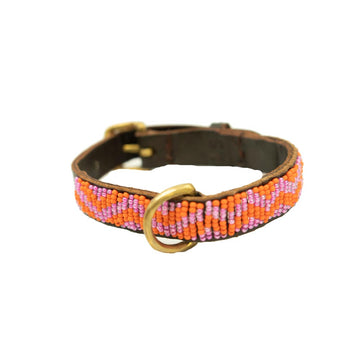 Mombassa Coral-zigzag dog collar